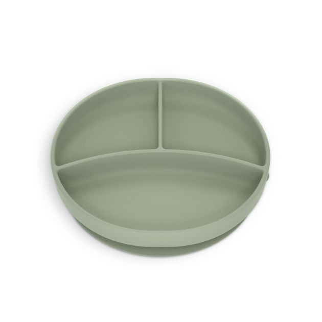 plate_with_divisions_swamp_02-min